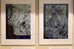 C-foto-ZBHO-19-kopie